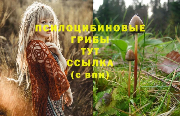 молекула духа Алексеевка
