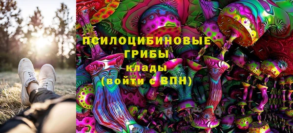 молекула духа Алексеевка