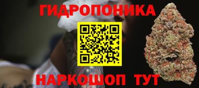 сатива Тулун
