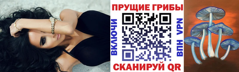 наркота  Курганинск  Галлюциногенные грибы мухоморы 